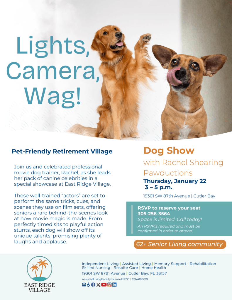 flyer for dog show event