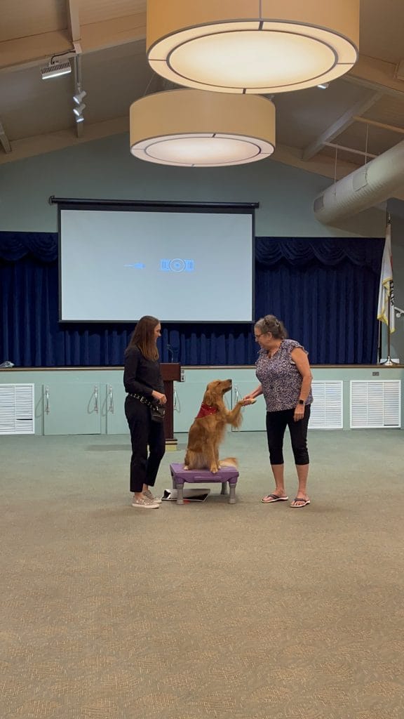 dog show at east ridge at cutler bay