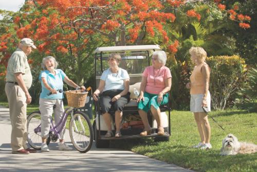 senior-couple-sitting-in-a-golf-cart-1