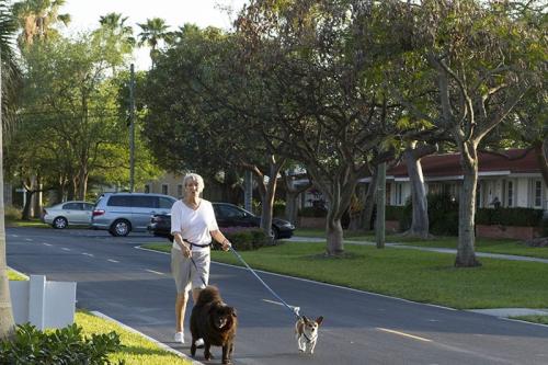 senior-woman-walking-dogs