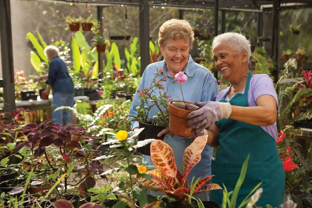 East Ridge residents gardening in the community greenhouse