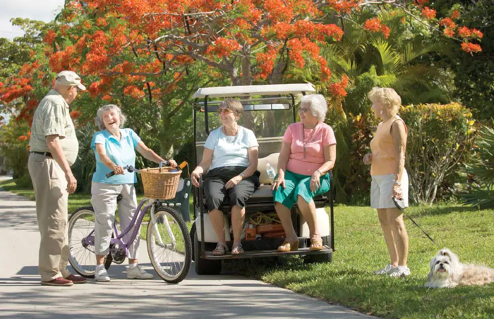 East Ridge residents chatting around a gold cart